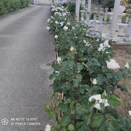 La Casa Delle Rose 2 Villa Giba Dış mekan fotoğraf