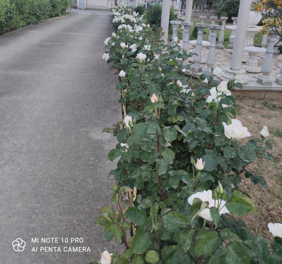 La Casa Delle Rose 2 Villa Giba Dış mekan fotoğraf